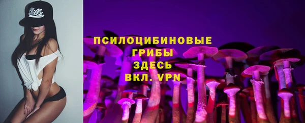 мдпв Алзамай