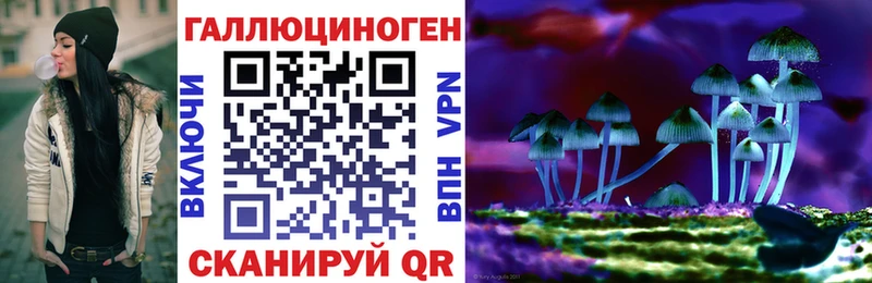 Галлюциногенные грибы Magic Shrooms  Ковылкино 